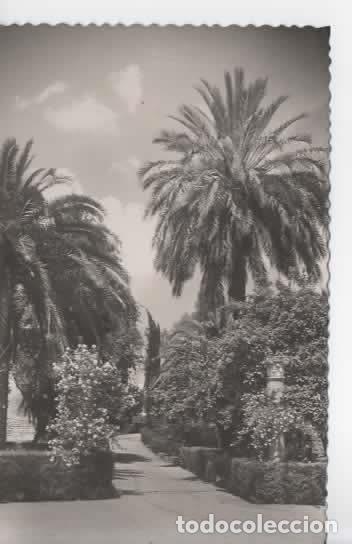 Postales: SEVILLA SIN ESCRIBIR REALES ALCAZARES