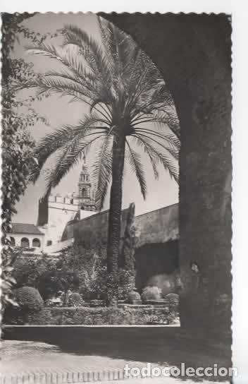 Postales: SEVILLA SIN ESCRIBIR REALES ALCAZARES