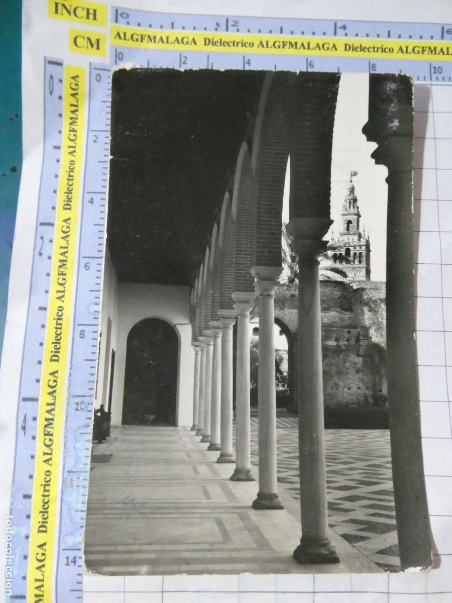 Postales: POSTAL DE SEVILLA. A&Ntilde;OS 30 50. ALC&Aacute;ZAR PATIO DE LA MONTER&Iacute;A 67 DOMINGUEZ. 3101