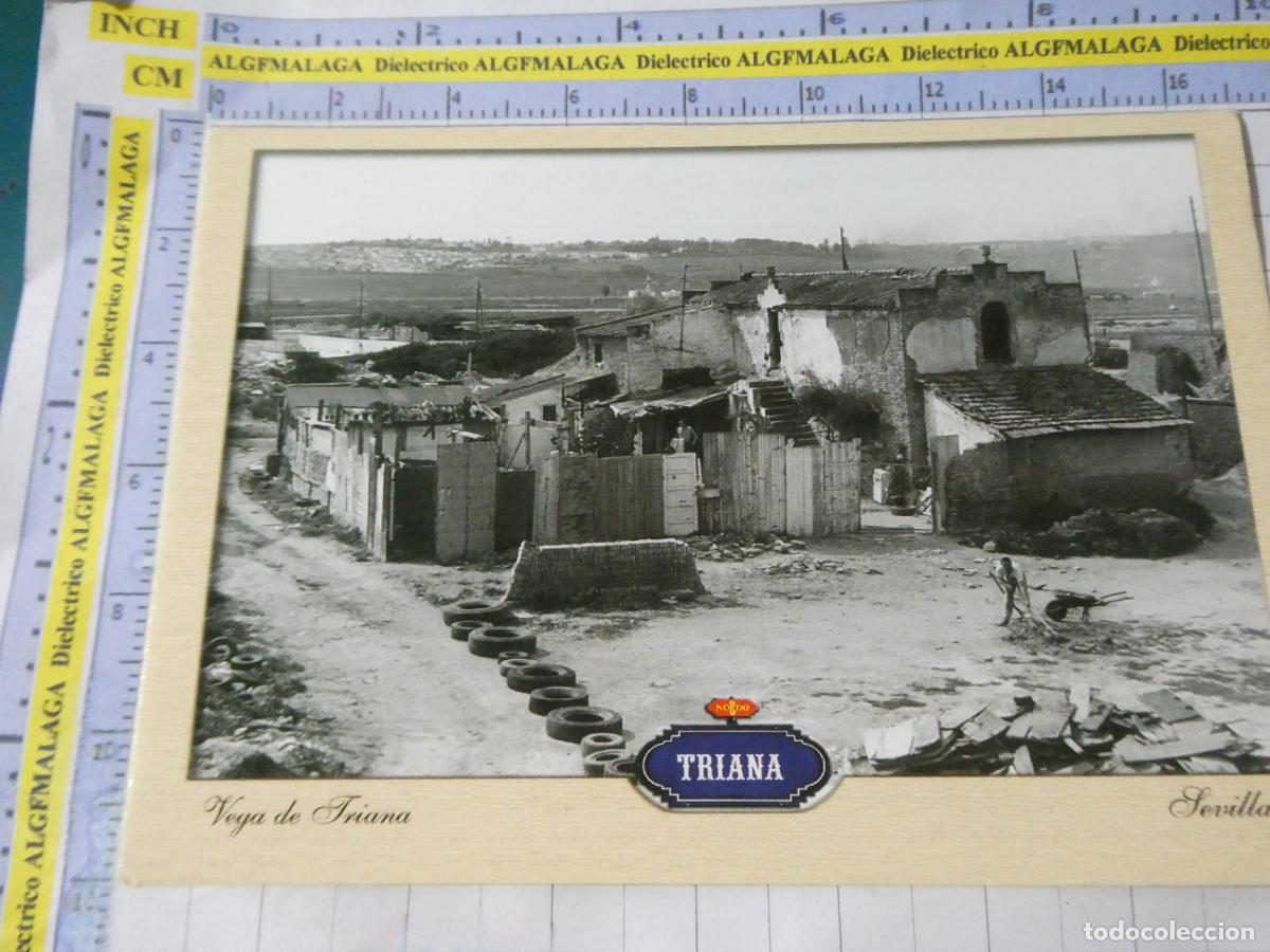 Postkarten: POSTAL DE SEVILLA. VEGA DE TRIANA DESAPARECIDA. 2069 GAS&Aacute;N. 2726