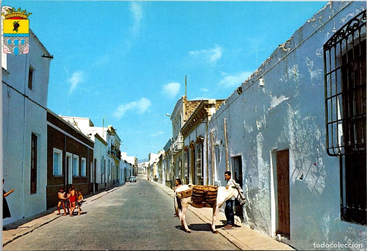 Postales: Alhama de Almer&iacute;a - Calle M&eacute;dicos - Zerkowitz 95/1 - Ex. Sebasti&aacute;n L&oacute;pez Ferrer - 148x101mm - Burro