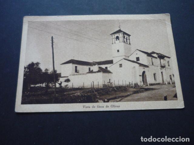 Postcards: ANDALUCIA VISTA DE FINCA DE OLIVAR