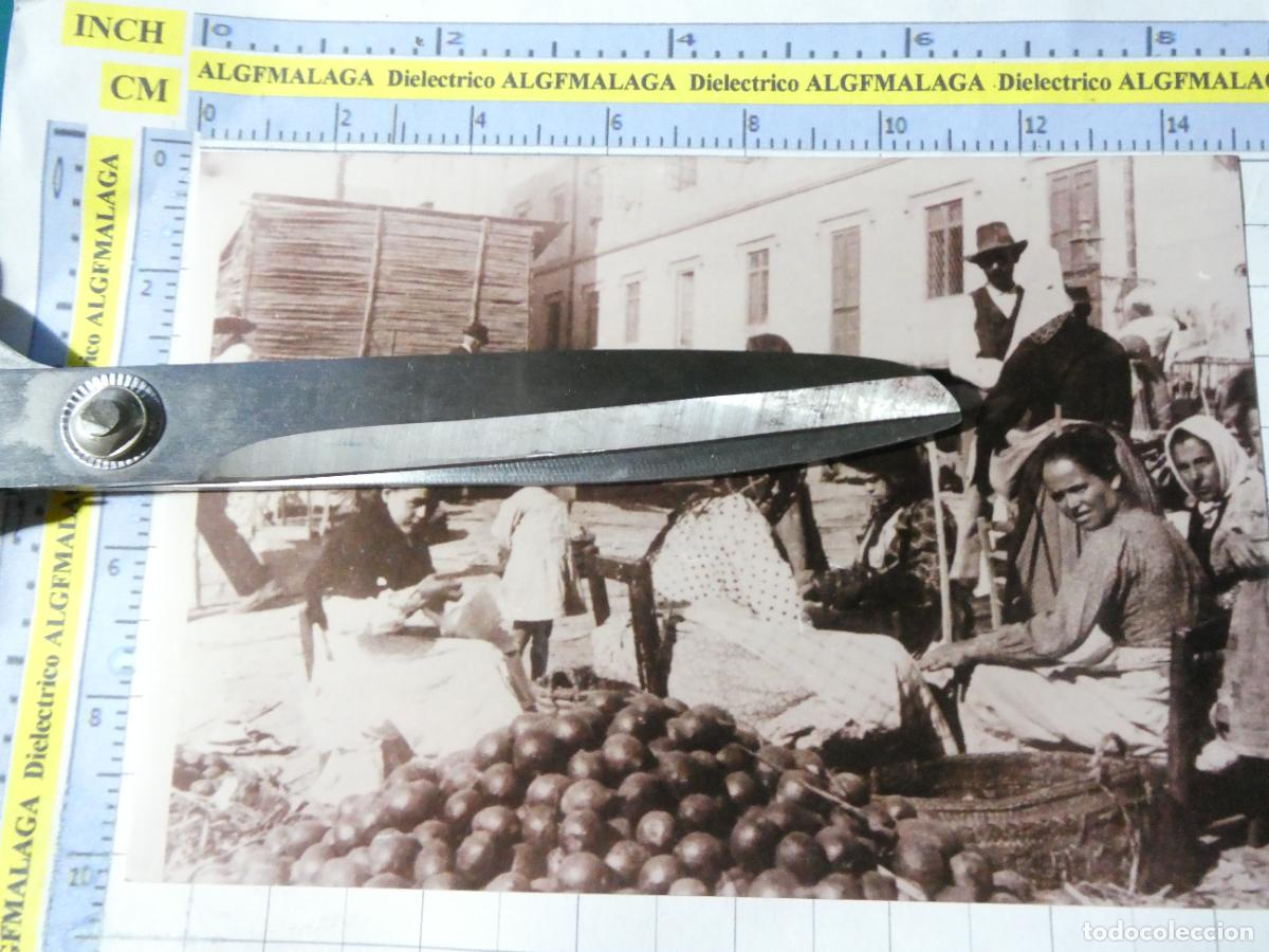 Postales: REPRODUCCI&Oacute;N ANTIGUA FOTO FOTOGRAF&Iacute;A M&Aacute;LAGA. MERCADO MERCADILLO FRUTAS MUJERES NI&Ntilde;OS. 2687