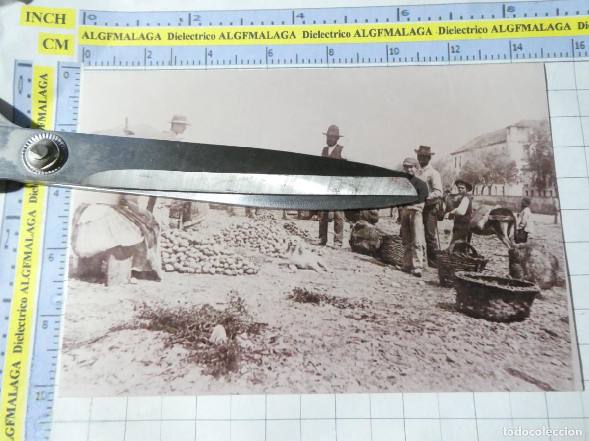 Postales: REPRODUCCI&Oacute;N ANTIGUA FOTO FOTOGRAF&Iacute;A M&Aacute;LAGA. VENTA DE PATATAS. 2698