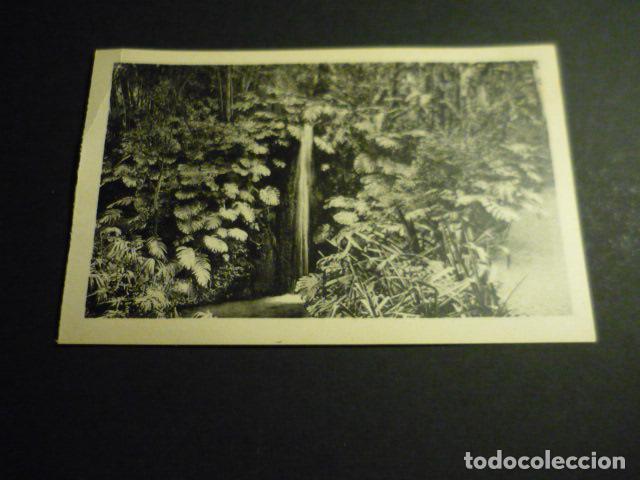 Postcards: MALAGA JARDINES DE LA CONCEPCION CASCADA