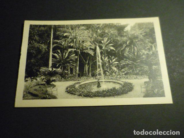 Postales: MALAGA JARDINES DE LA CONCEPCION SURTIDOR - Foto 1