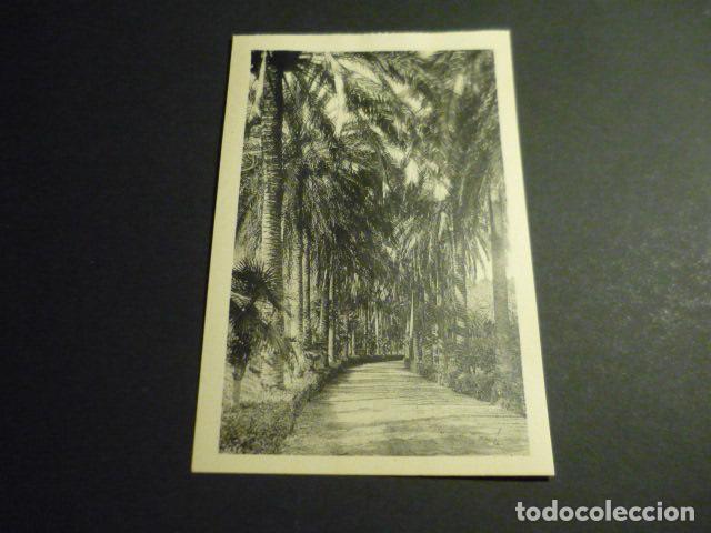 Postcards: MALAGA JARDINES DE LA CONCEPCION PASEO