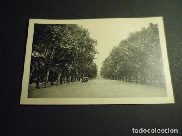 Postales: MALAGA PASEO DEL PARQUE - Foto 1