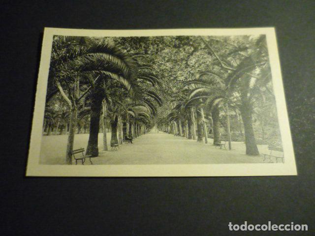 Postcards: MALAGA PASEO DEL PARQUE
