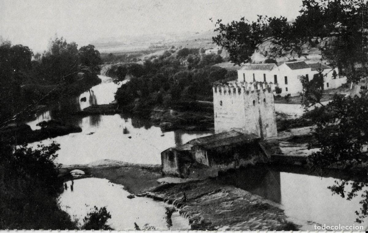 Postales: POSTAL MODERNA DE SEVILLA. ALCALA DE GUADAIRA. MOLINO DE LAS ACE&Ntilde;AS. P-ANSE-2673