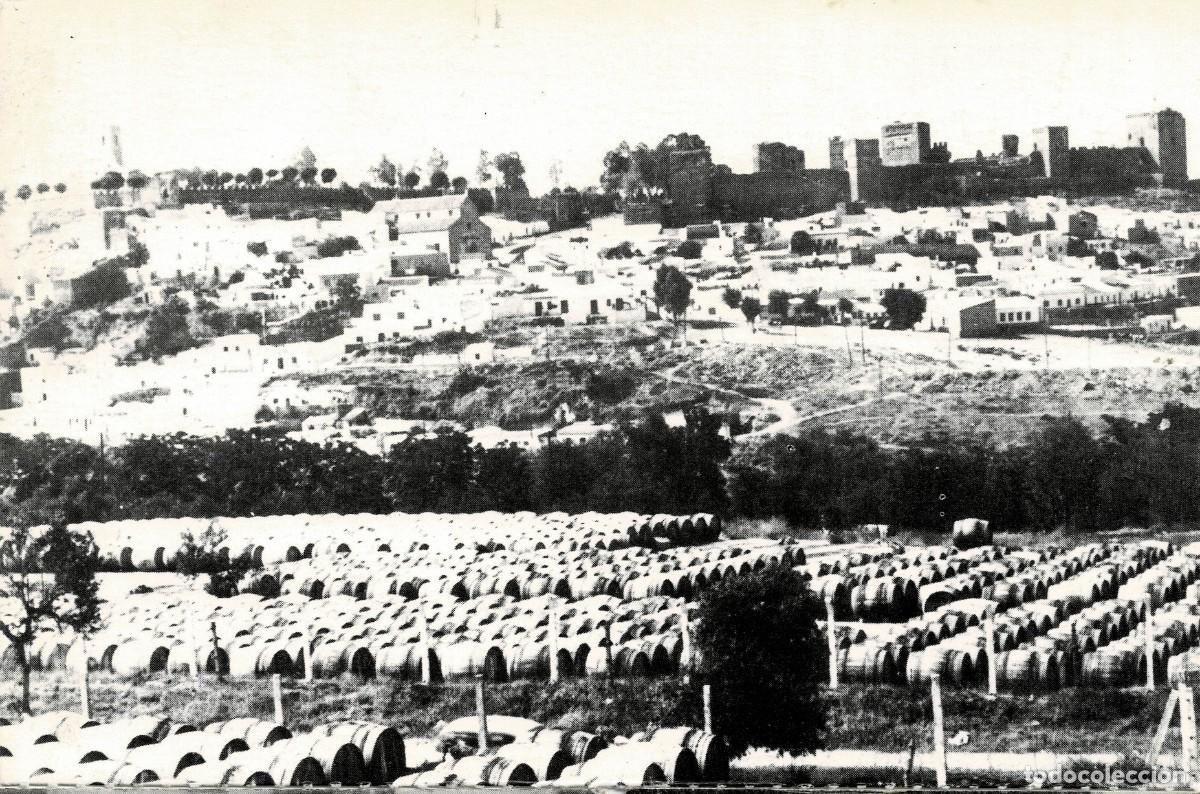 Postales: POSTAL MODERNA DE SEVILLA. ALCALA DE GUADAIRA. BOCOYES DEL ALMACEN DE LA NOCLA. P-ANSE-2677