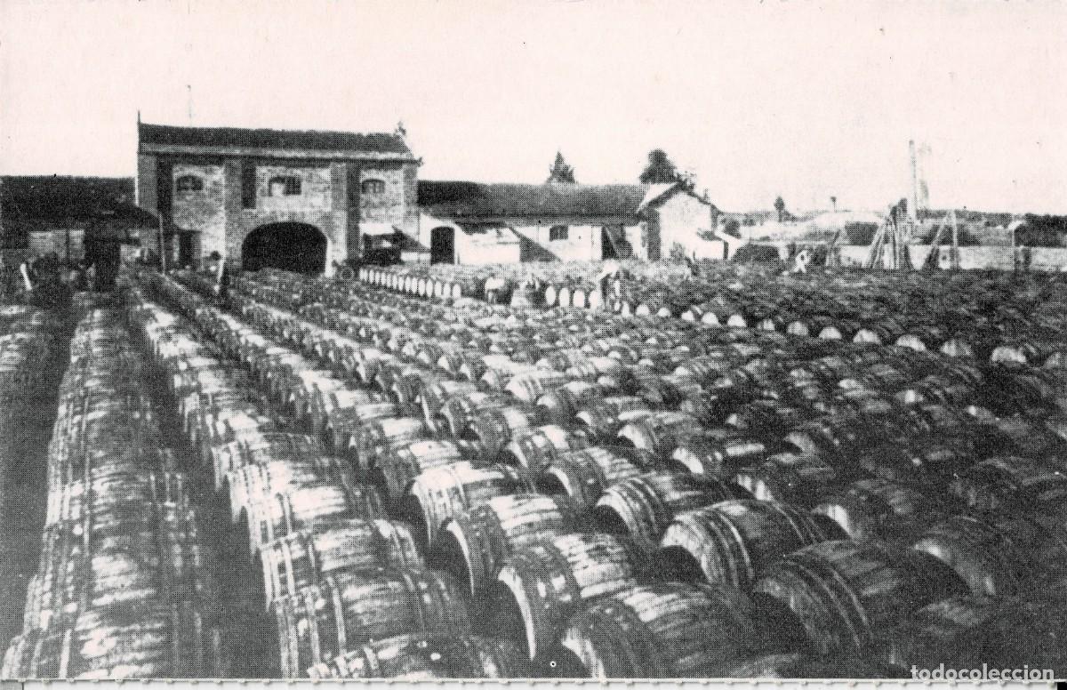 Postales: POSTAL MODERNA DE SEVILLA. ALCALA DE GUADAIRA. PATIO ALMACEN DE ACEITUNAS A&Ntilde;OS 40. P-ANSE-2678
