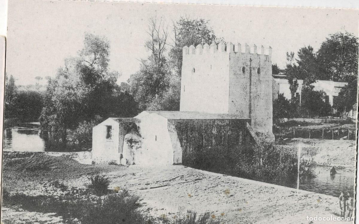 Postales: POSTAL MODERNA DE SEVILLA. ALCALA DE GUADAIRA. MOLINOS DE ACE&Ntilde;AS. P-ANSE-2687