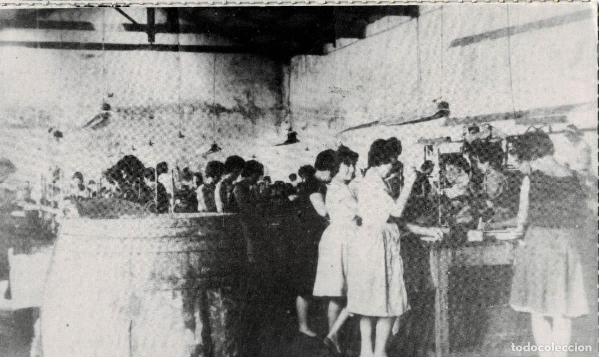 Postales: POSTAL MODERNA DE SEVILLA. ALCALA DE GUADAIRA. MUJERES EN LA TAREA DE DESHUESO. P-ANSE-2979