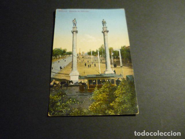 Postales: SEVILLA ALAMEDA DE HERCULES - Foto 1