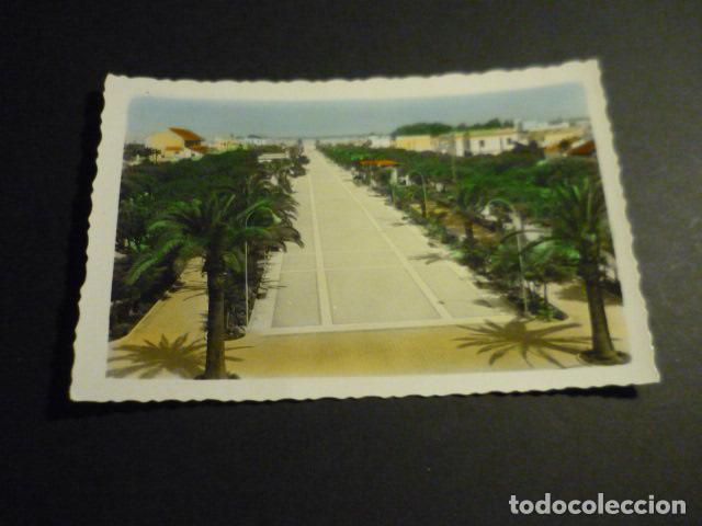 Postales: SANLUCAR DE BARRAMEDA CADIZ PASEO DE LA CALZADA