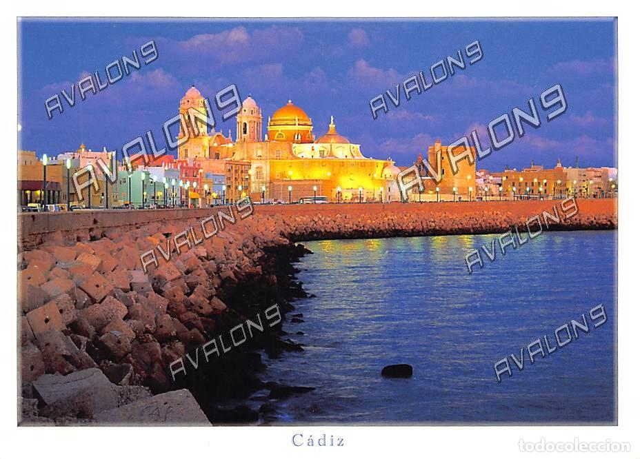 Postales: Catedral de noche (C&aacute;diz) - Sin Circular - A&ntilde;os 90