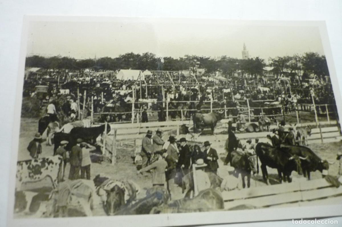 Postales: postal roisin andalucia tipica el esqulaor cm