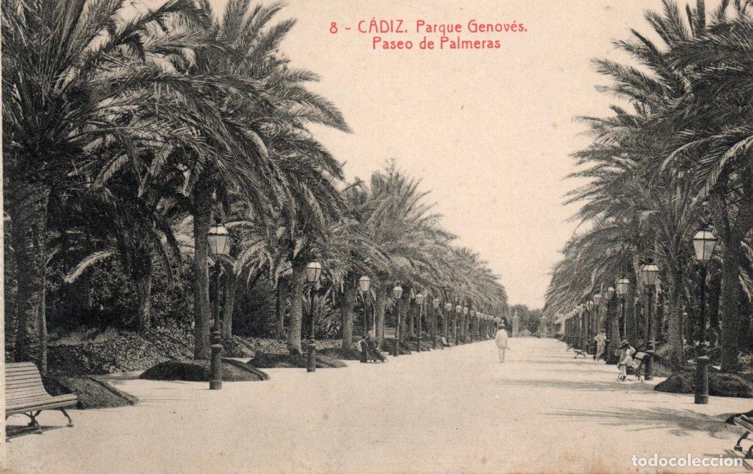 Postales: BONITA POSTAL - CADIZ - PARQUE GENOVES - PASEO DE PALMERAS - THOMAS