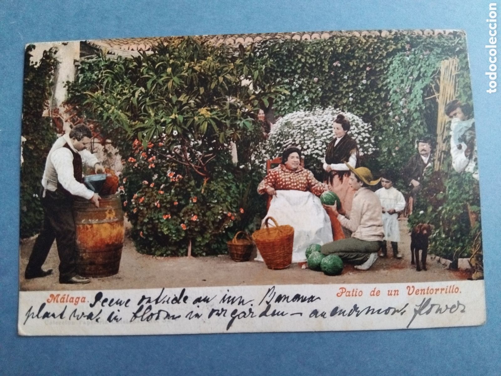Postales: Postal Malaga. Patio de un Ventorrillo