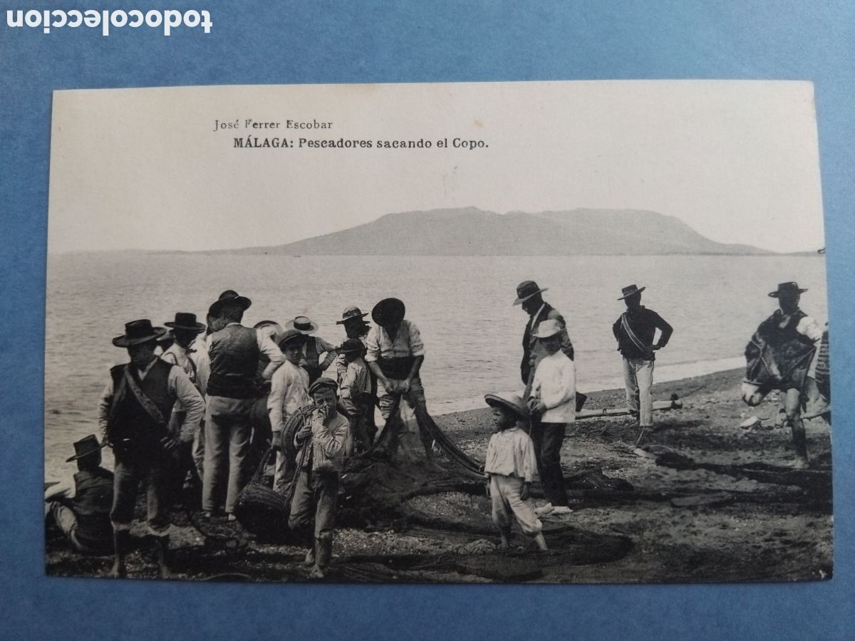 Postales: Postal M&aacute;laga, pescadores sacando el copo