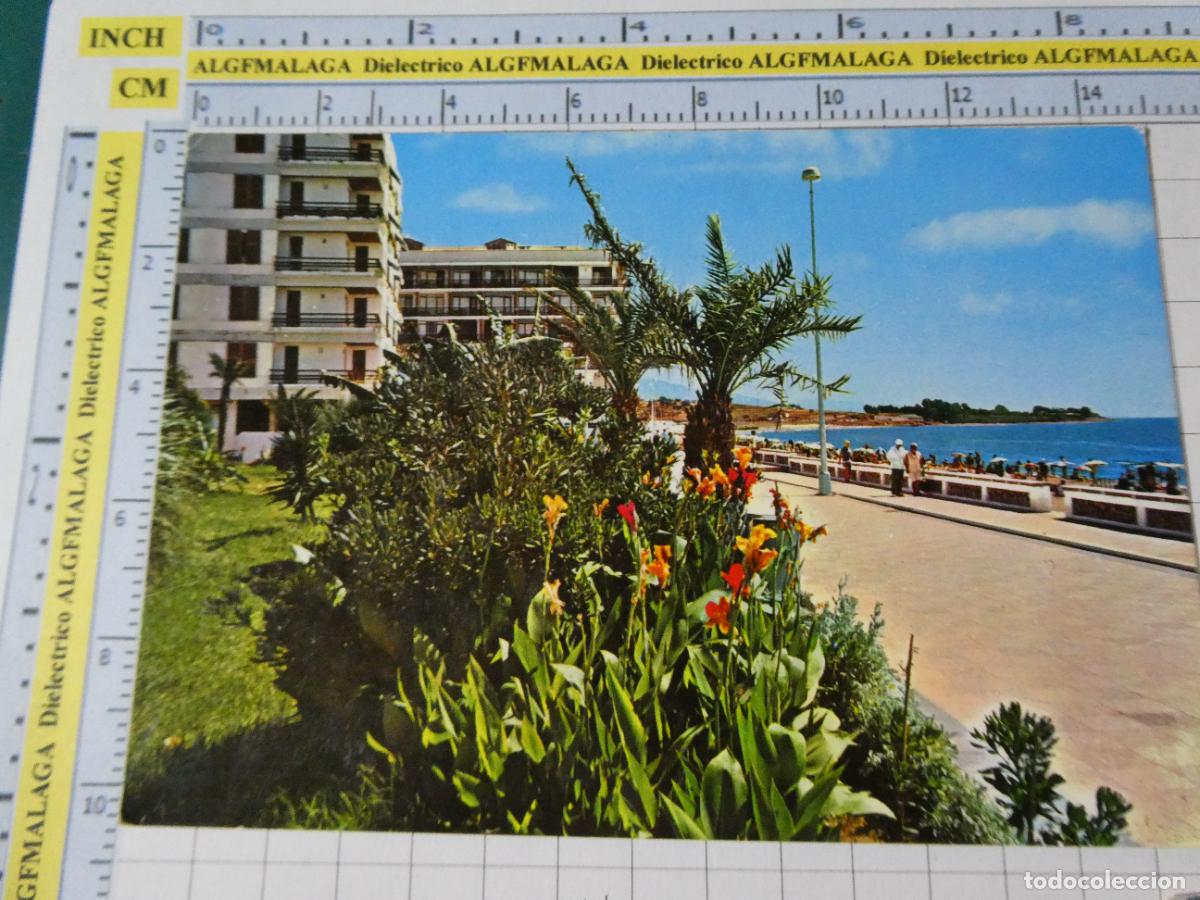 Postales: POSTAL DE M&Aacute;LAGA ESTEPONA. A&Ntilde;O 1970 BELLO RINC&Oacute;N DEL PASEO MAR&Iacute;TIMO 365 COSTA DEL SOL. 3942