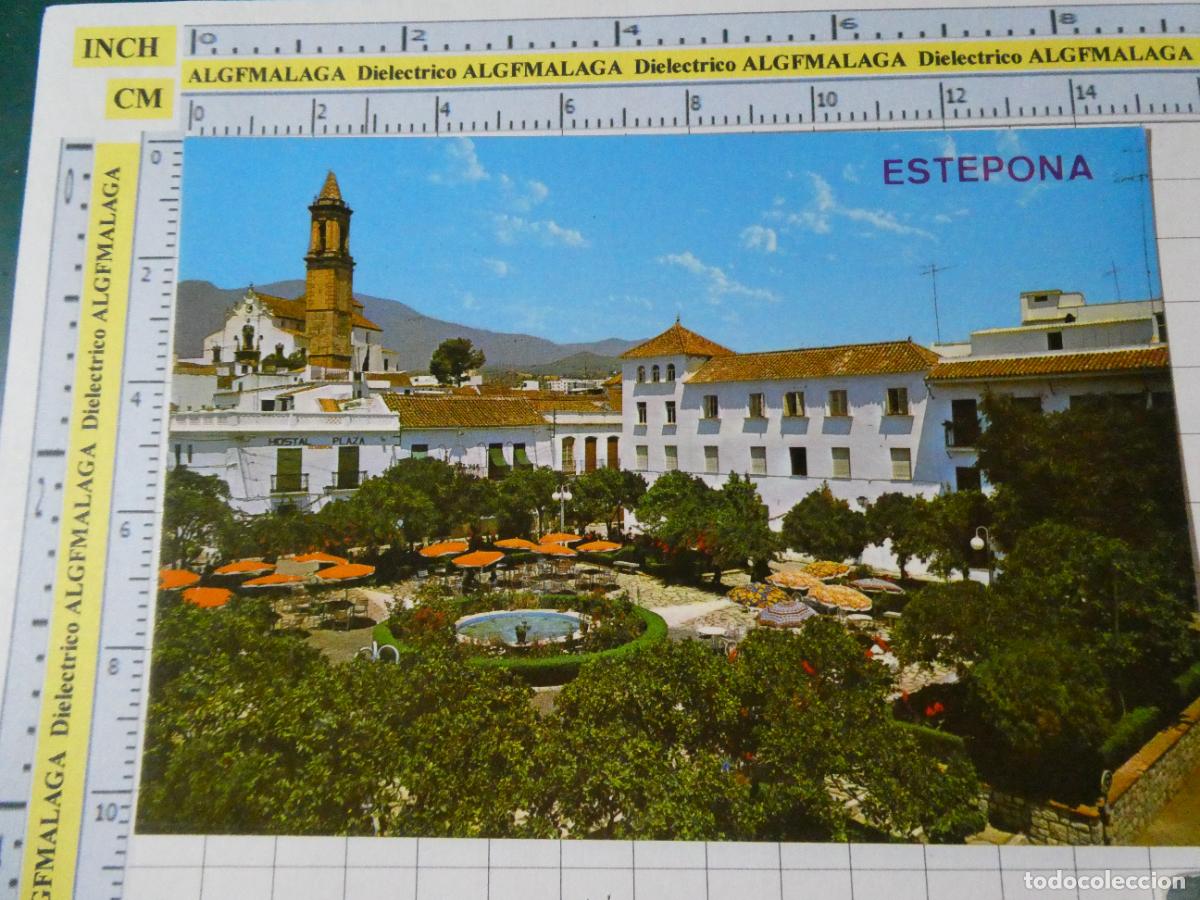 Postales: POSTAL DE M&Aacute;LAGA ESTEPONA. A&Ntilde;O 1981 PLAZA DE LAS FLORES 51 ARRIBAS. 3956