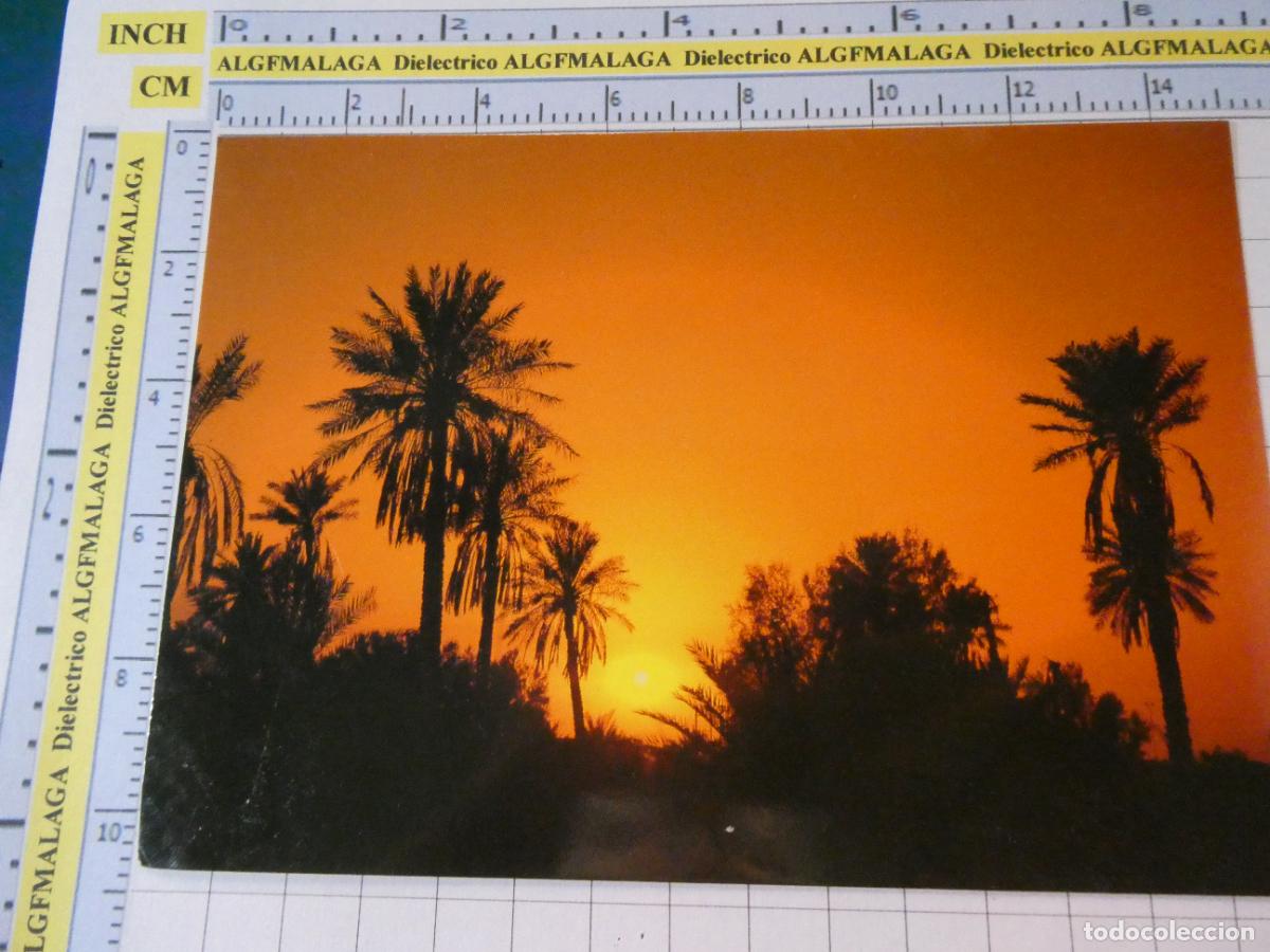 Postales: POSTAL PABELL&Oacute;N DE LA EXPO 92 1992 SEVILLA. ARABIA SAUD&Iacute;. PALMERAS AL AHSA. 2466