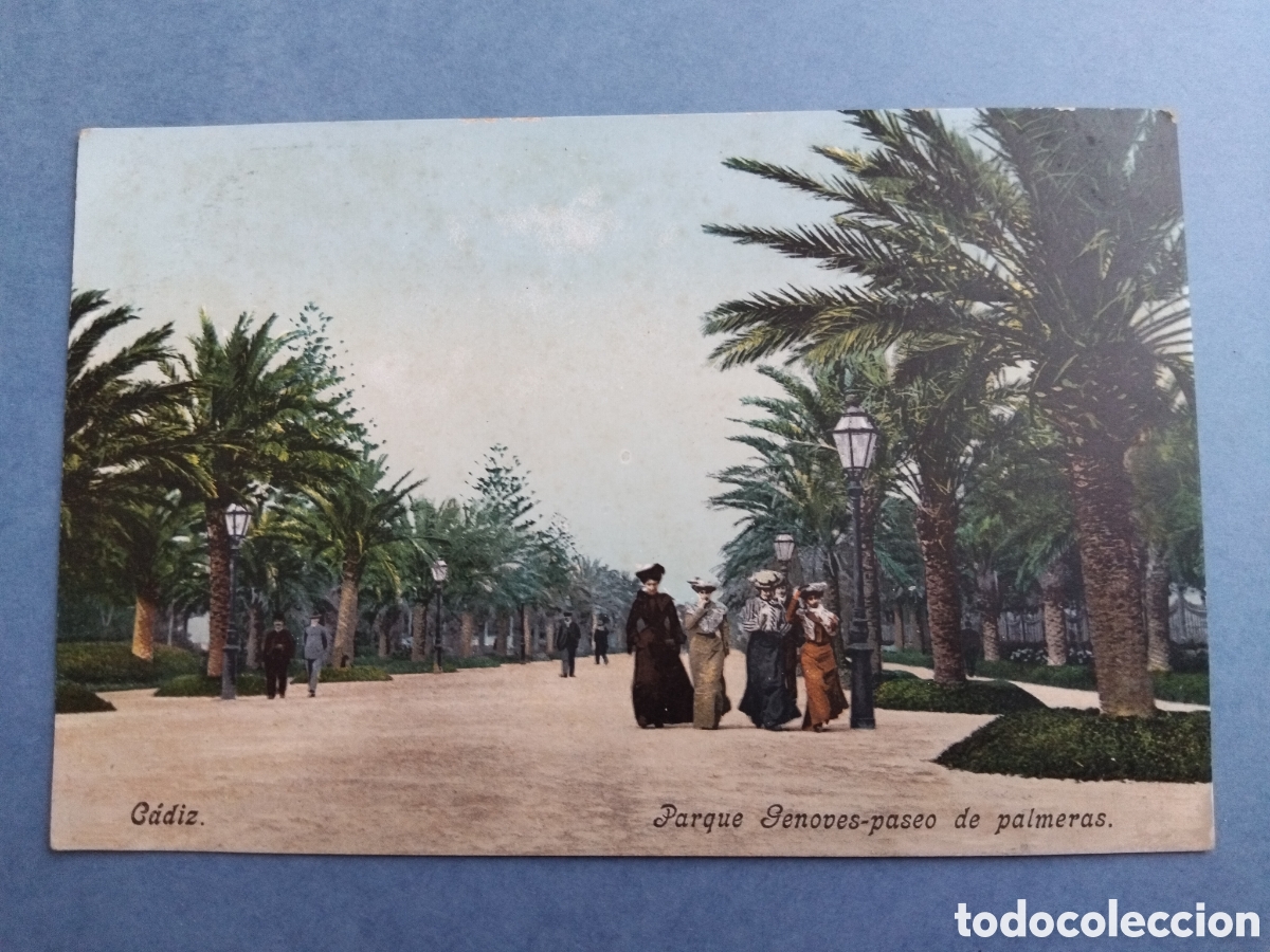 Postales: Postal C&aacute;diz, parque Genov&eacute;s, Paseo de palmeras