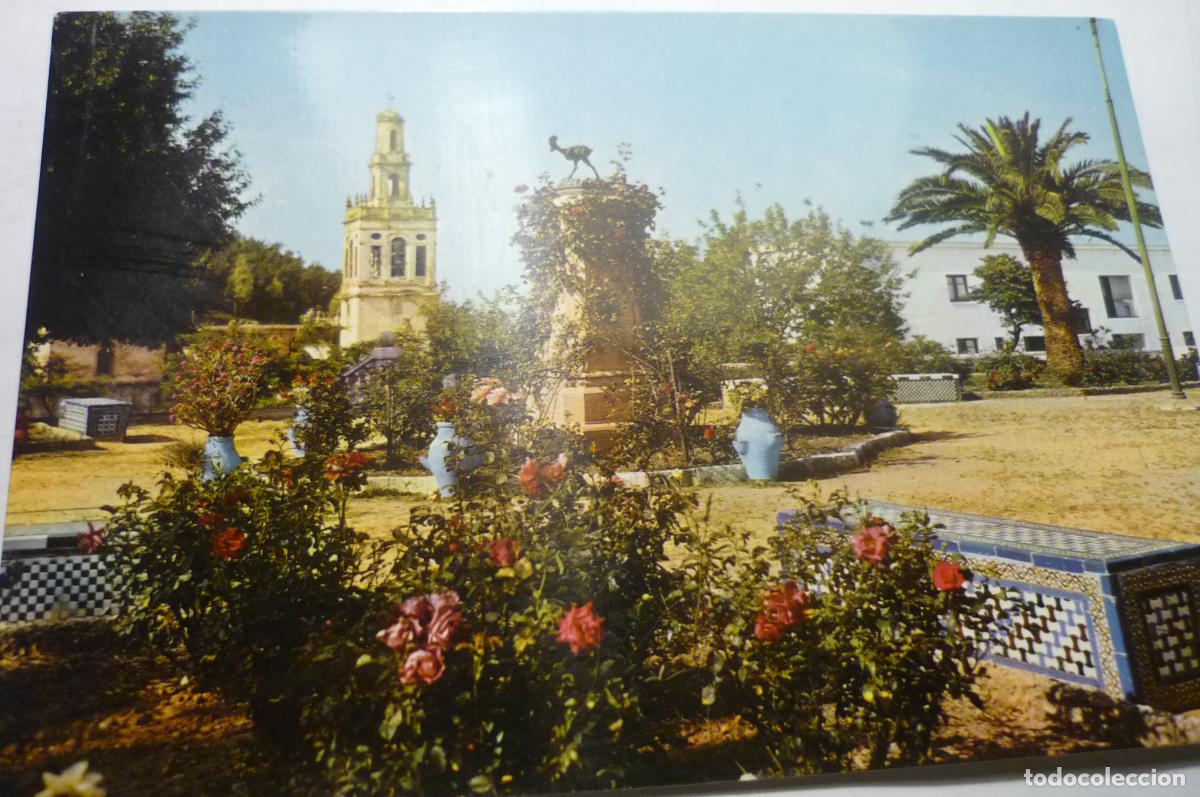 Postales: postal moron monumento al gallo