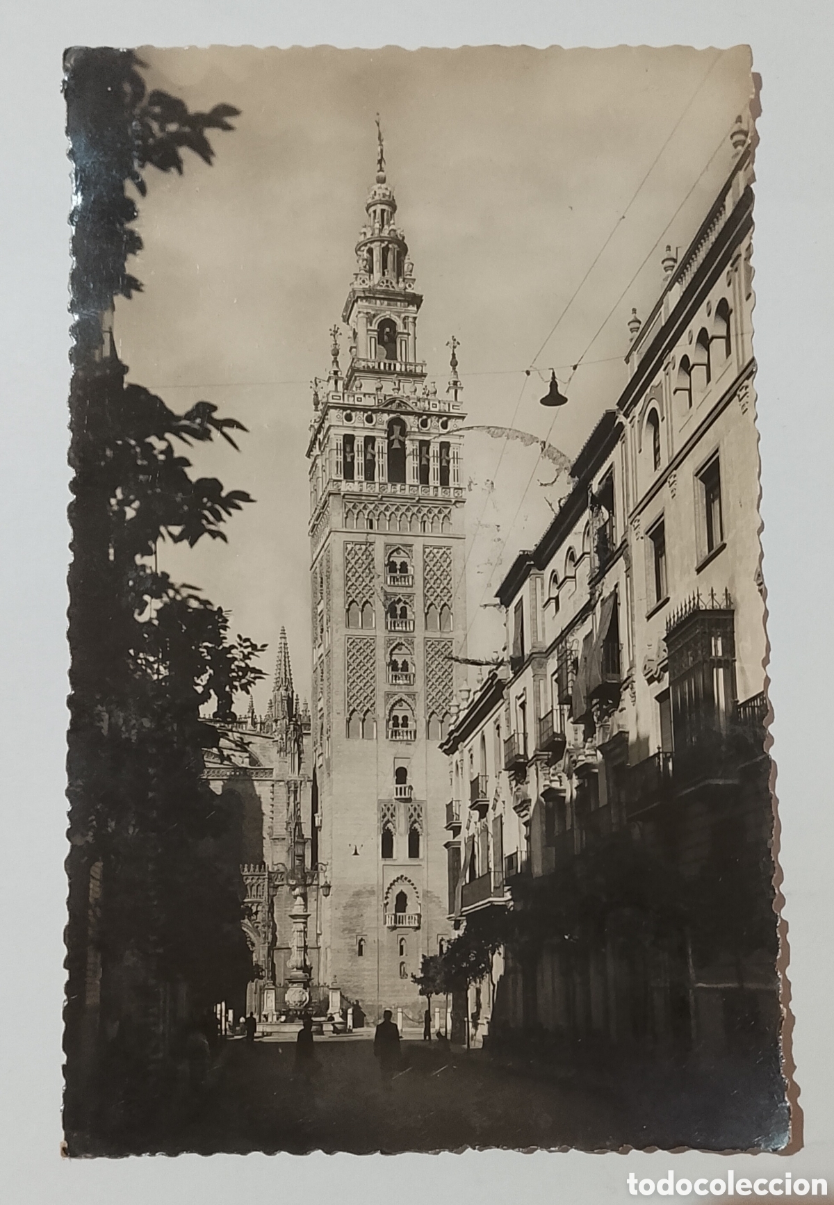 Postales: Postal Sevilla La Giralda