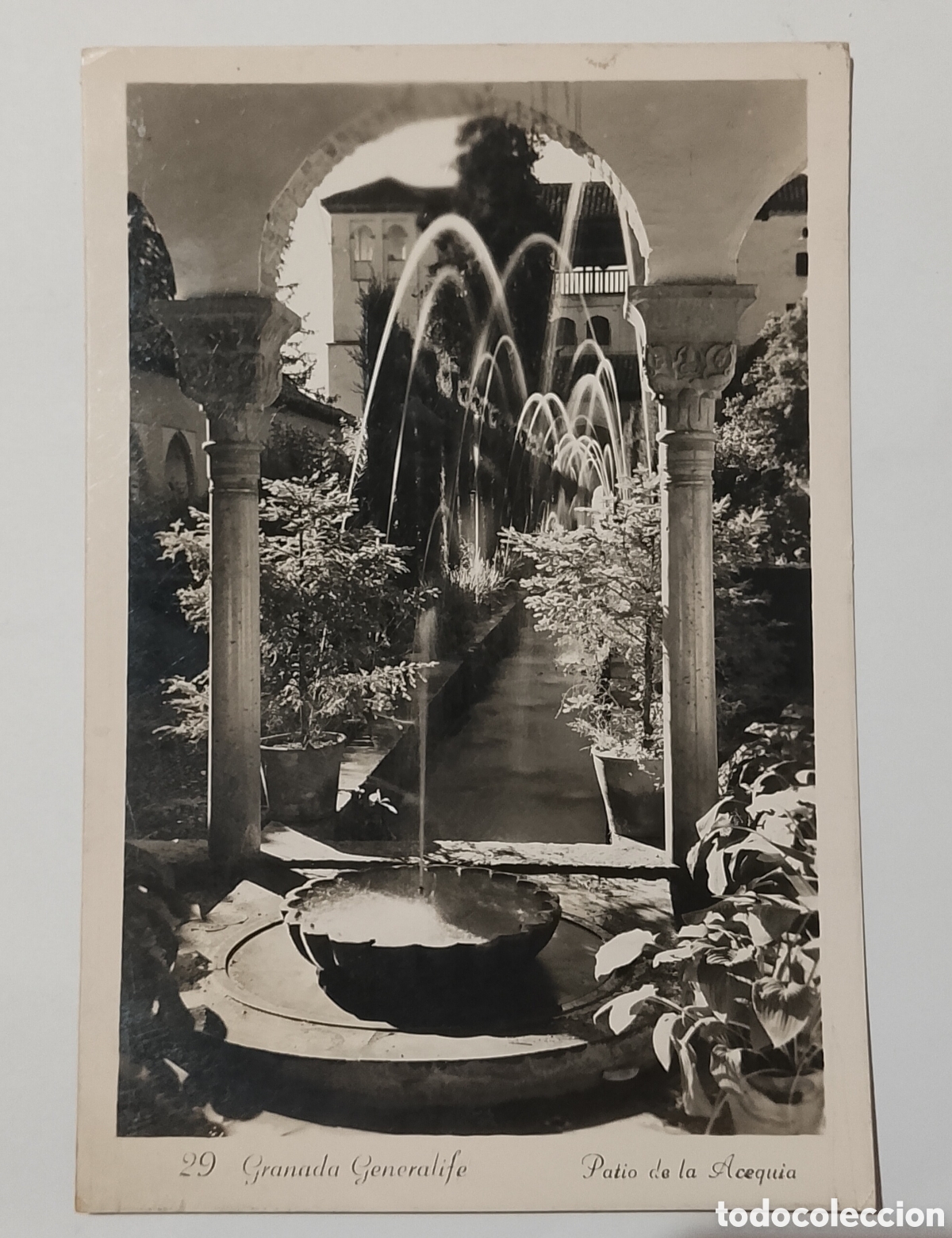 Postales: Postal Granada Generalife patio de la Acequia