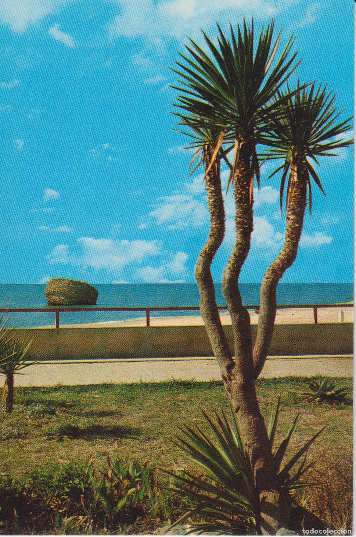 Postales: MATALASCA&Ntilde;AS (HUELVA) JARDINES Y TORRE &ndash; RC DIST.DE EDICIONES N&ordm;8 &ndash; S/C