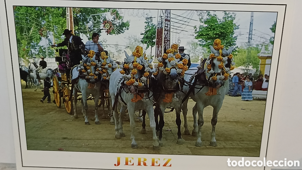 Postales: Mint Jerez de la frontera feria del enganche