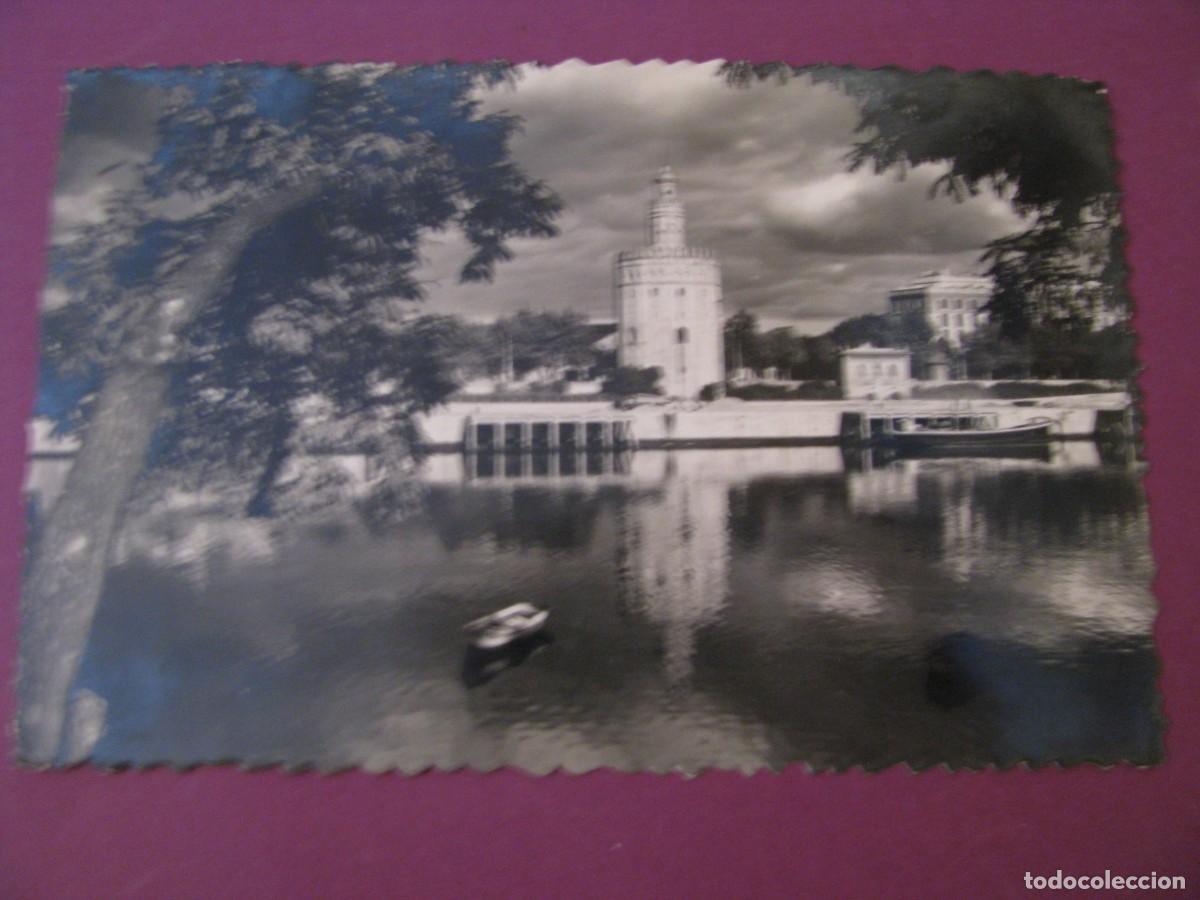 Postales: POSTAL FOTOGRAFICA DE SEVILLA. TORRE DEL ORO. ED. SICILIA. CIRCULADA