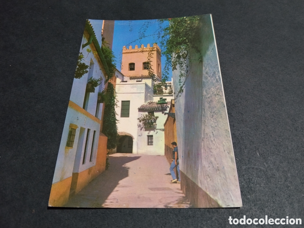 Postales: Postal Sevilla Torre de la juder&iacute;a