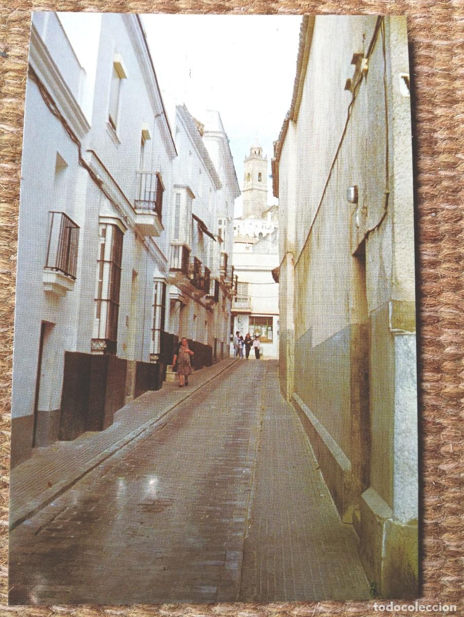 Postales: MEDINA SIDONIA - CADIZ - CALLE HERCULES