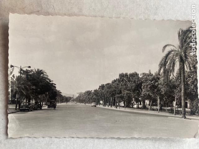 Postales: Cordoba. N&ordf; 235. Paseo Primo de Ribera. Ed. Arribas. Circulada