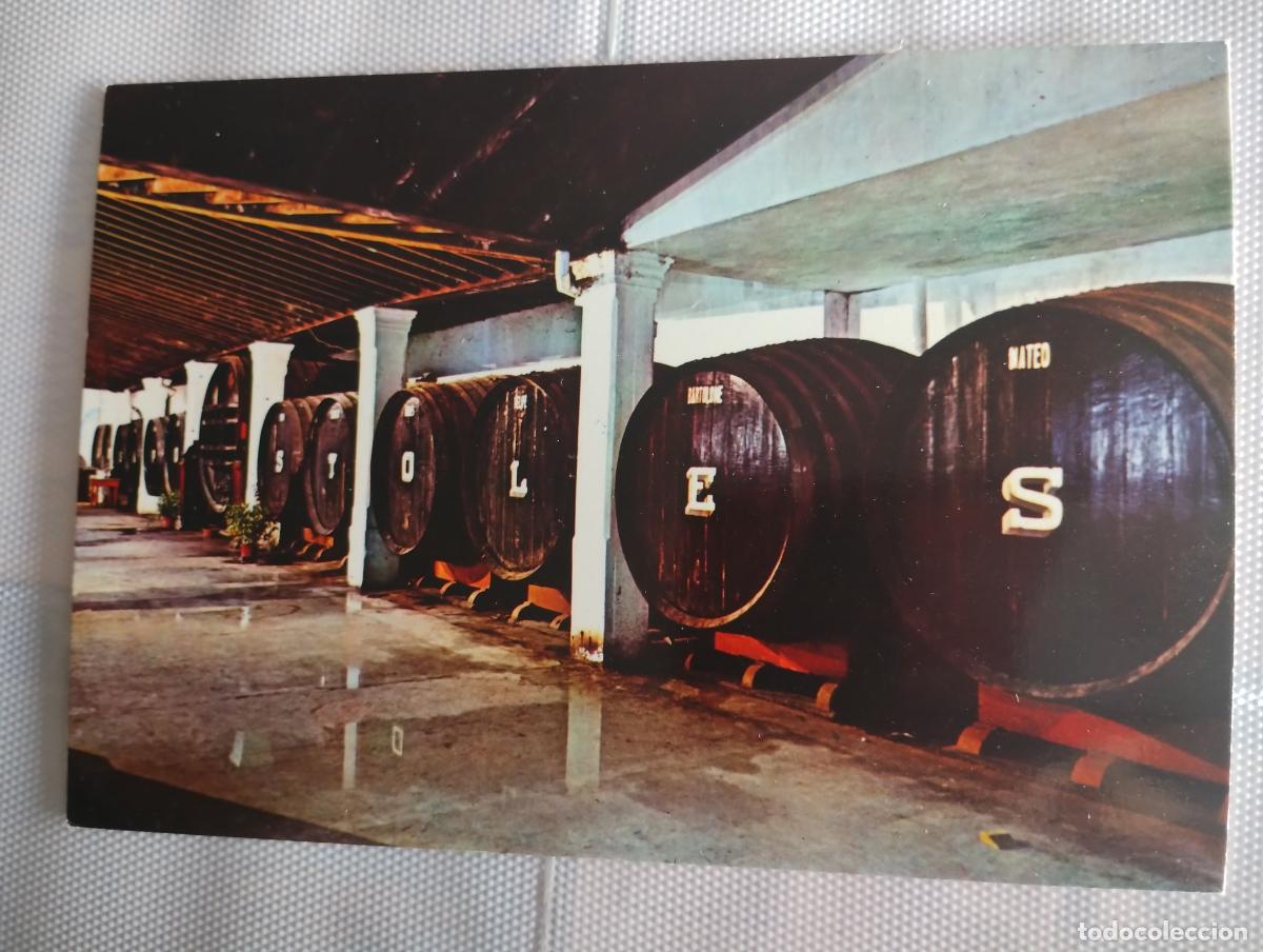 Postales: n&ordm; 9034, Jerez de la Frontera, Bodegas Gonz&aacute;lez Byass, Bodega &rdquo;Los Ap&oacute;stoles&rdquo;, Ediciones A.G.M.