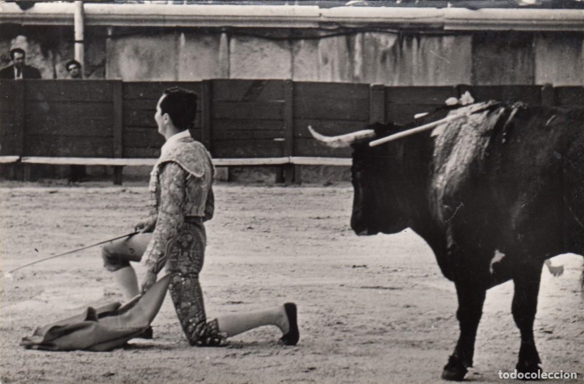 Postales: PLAZA DE TOROS DE LINARES ? (JA&Eacute;N) DOMINGU&Iacute;N ? TAUROMAQUIA. l&eacute;ase descripci&oacute;n.