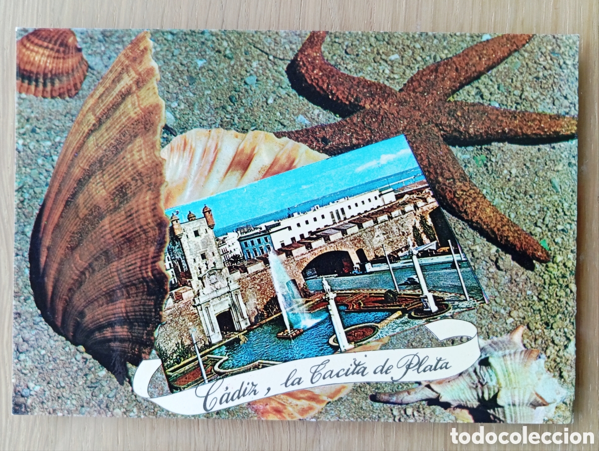 Postales: POSTAL C&Aacute;DIZ PUERTA DE TIERRA EDICIONES RO-FOTO 15 OTTO REUSS A&Ntilde;O 1967 CONCHA ESTRELLA DE MAR