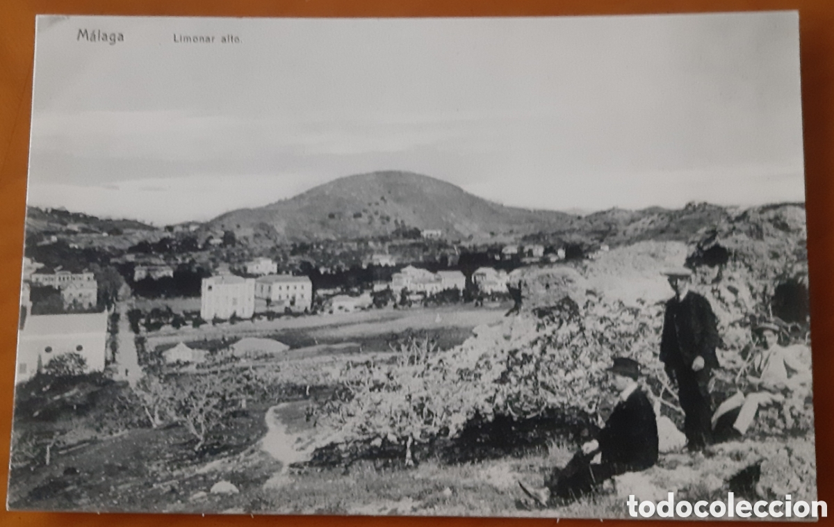 Postales: Postal M&aacute;laga. Limonar Alto. Sin escribir. R10195