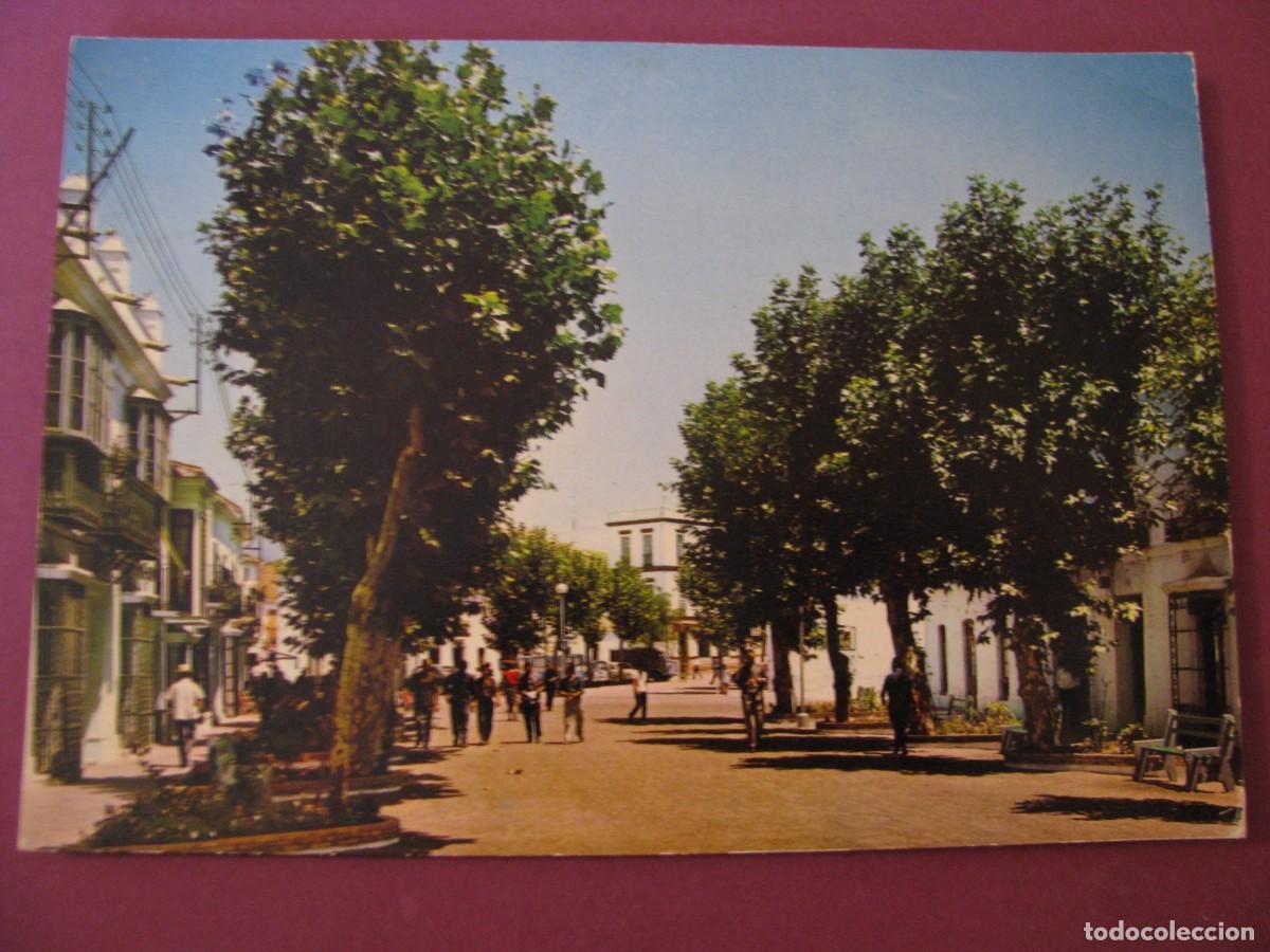 Postales: POSTAL DE ESTEPONA. PASEO PRINCIPAL. ARRIBAS