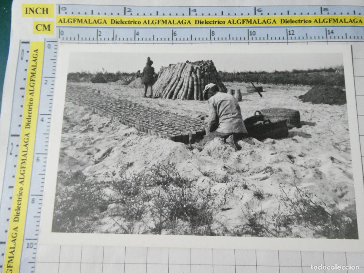Postales: POSTAL DE HUELVA. EL ABALARIO PAISAJE EN CONSTRUCCI&Oacute;N. ASENTANDO MACETAS EN UN VIVERO 4792