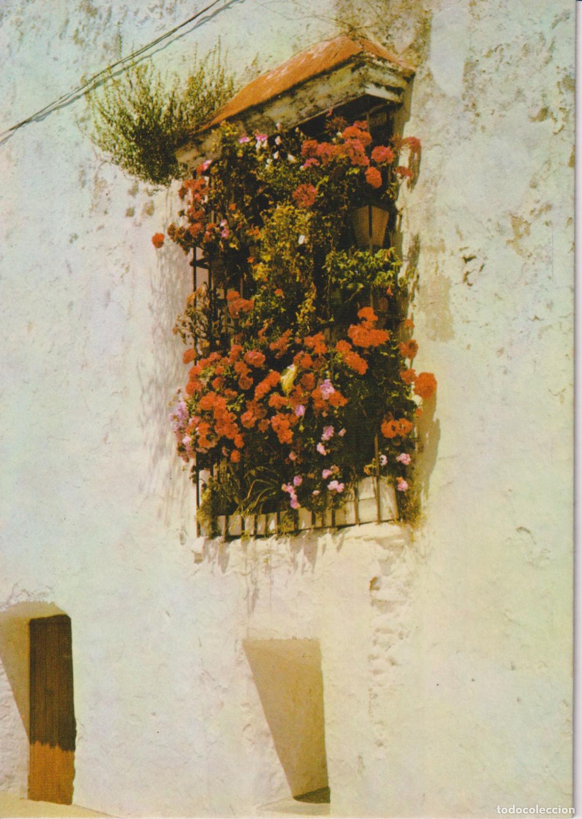 Postales: ARACENA (HUELVA) CALLE COL&Oacute;N - GR&Aacute;FICAS DEL SUR N&ordm;32 - ESCRITA
