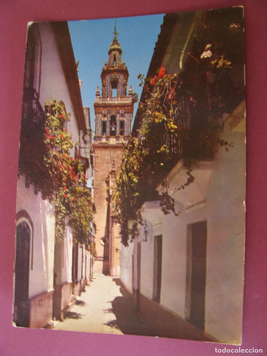 Postales: POSTAL DE ECIJA. CALLE DE EVARISTO ESPINOSA Y TORRE DE SANTA MARIA. ARRIBAS