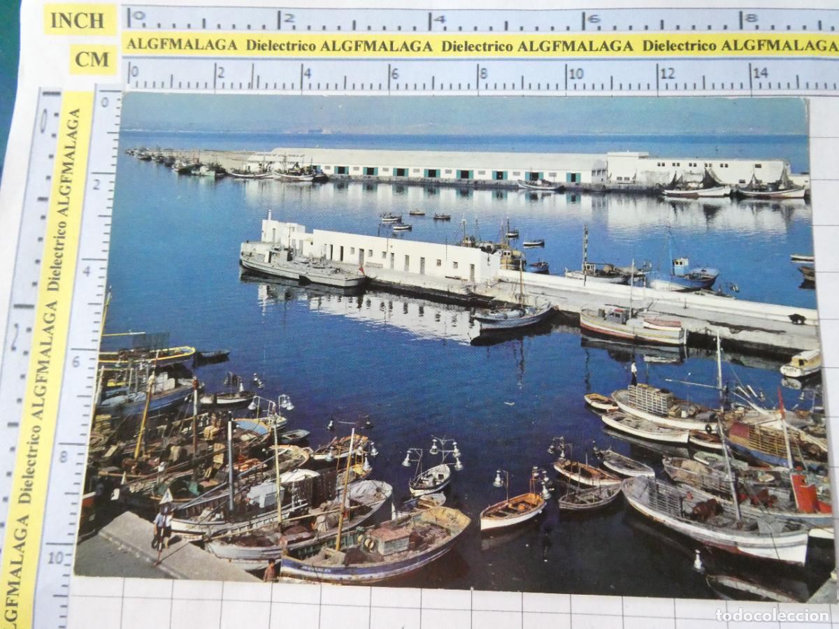 Postales: POSTAL DE C&Aacute;DIZ. A&Ntilde;O 1964. ALGECIRAS PUERTO DE PESCADORES 11 VISTABELLA. 2557