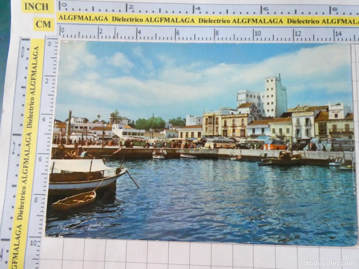 Postales: POSTAL DE C&Aacute;DIZ. ALGECIRAS MUELLE DE PESCADORES 8710 CAMPA&Ntilde;A. 2567