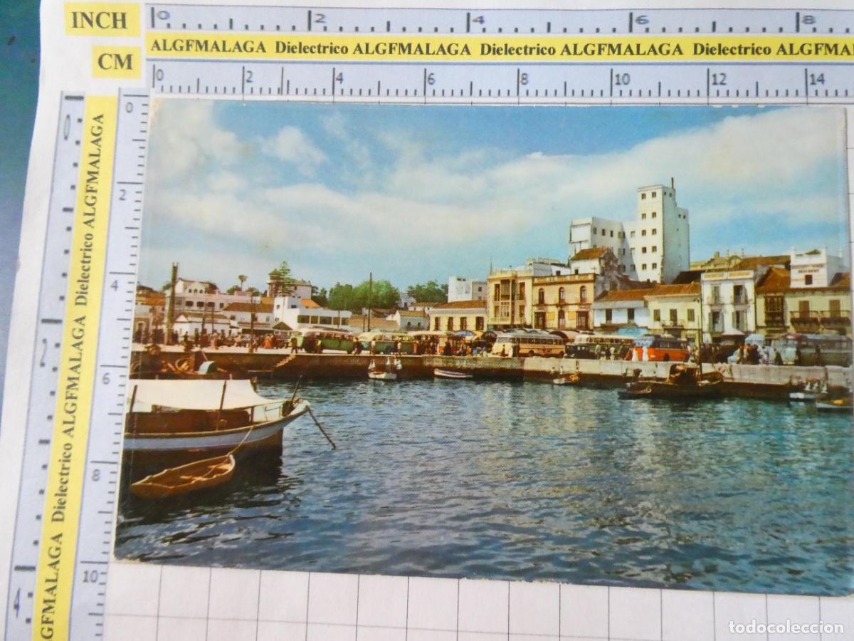 Postales: POSTAL DE C&Aacute;DIZ. MUELLE DE PESCADORES 8710 CAMPA&Ntilde;A. 2571