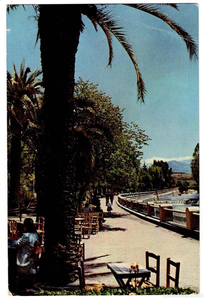 Postales: POSTAL DE GRANADA, PASEO DEL SAL&Oacute;N DEL GENIL (CIRCULADA)